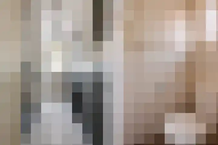 Dannenberg 17 Rijssen thumbnail 16
