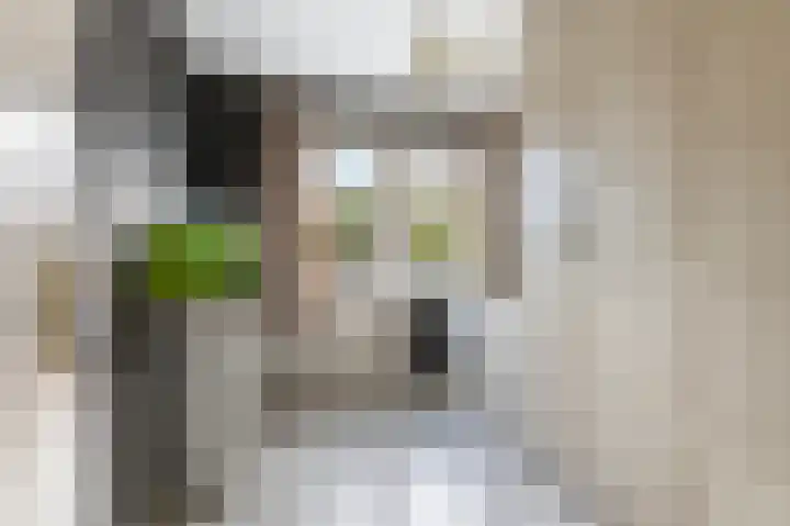 Dannenberg 17 Rijssen thumbnail 20