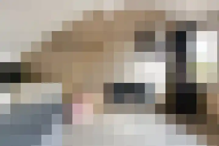 Dannenberg 17 Rijssen thumbnail 31