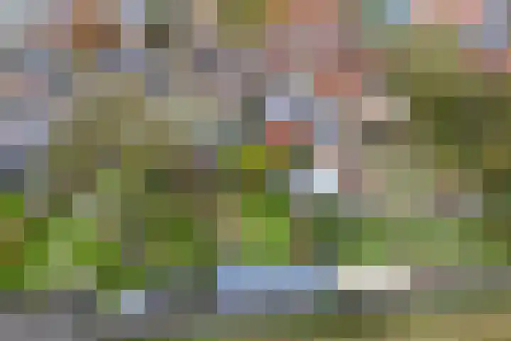Dannenberg 17 Rijssen thumbnail 41