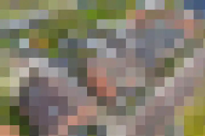 Dannenberg 17 Rijssen thumbnail 42