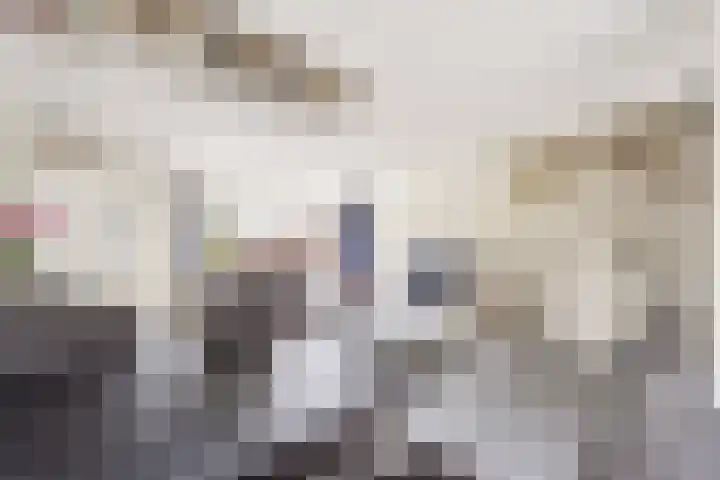 Danslaan 147 Almere thumbnail 10