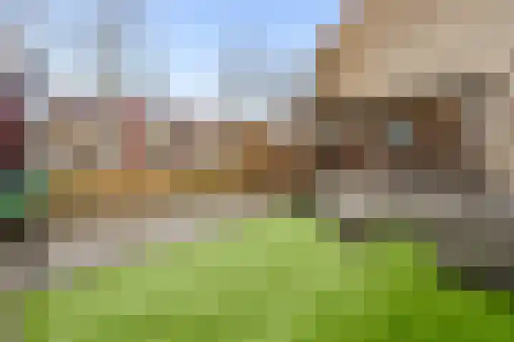 Danslaan 147 Almere thumbnail 41