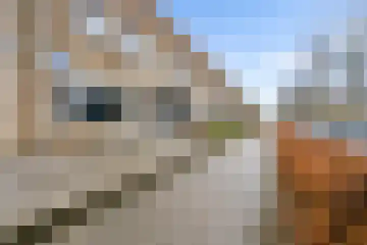 Danslaan 147 Almere thumbnail 45