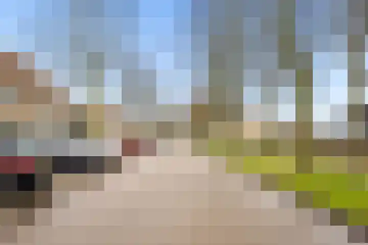 Danslaan 147 Almere thumbnail 47