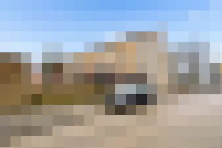 Danslaan 147 Almere thumbnail 48