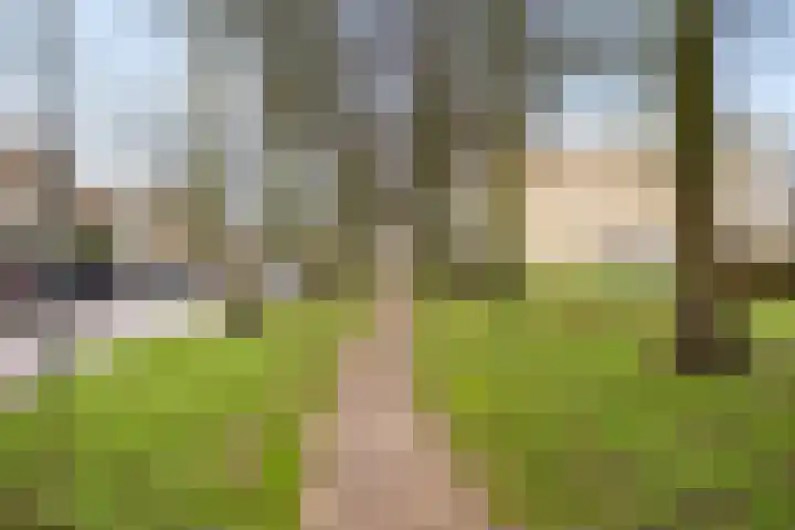 Danslaan 147 Almere thumbnail 49