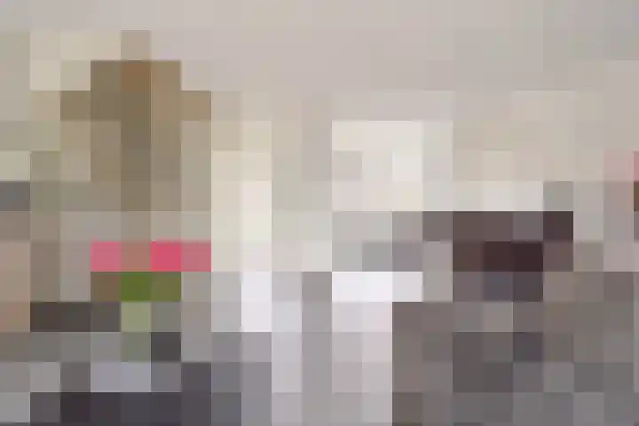 Danslaan 147 Almere thumbnail 8