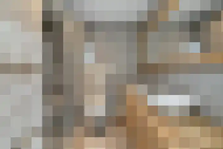 Danslaan 50 Almere thumbnail 25