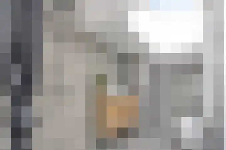 Danslaan 50 Almere thumbnail 37