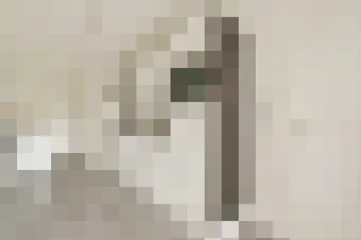 Dantestraat 8 Amsterdam thumbnail 4