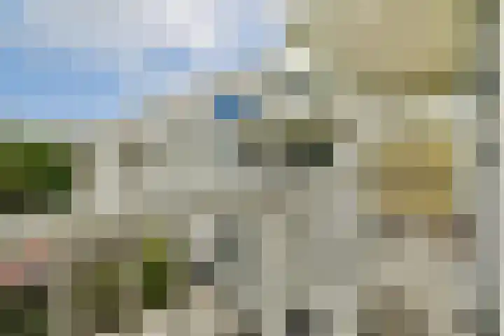 Dantestraat 8 Amsterdam thumbnail 8