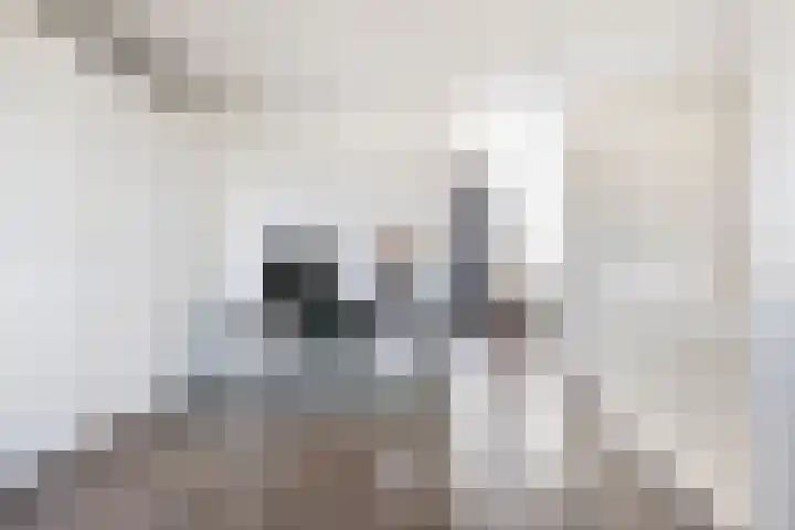 Daphnestraat 9 Arnhem thumbnail 31