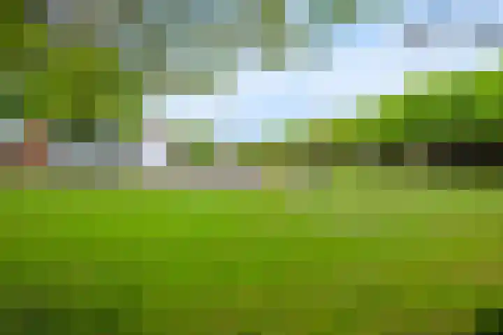 Darthuizerberg 11 Amersfoort thumbnail 50