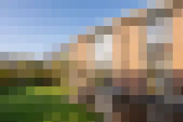 Darthuizerberg 76 Amersfoort thumbnail 18