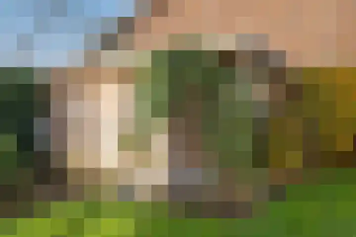 Darthuizerberg 76 Amersfoort thumbnail 22