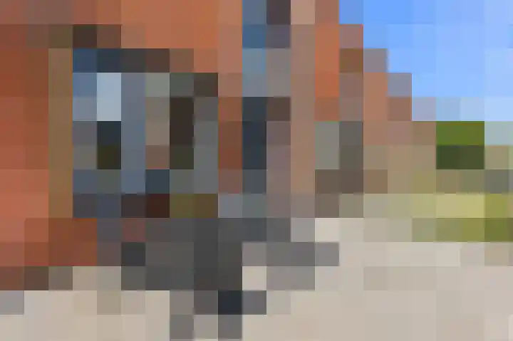 Dartstraat 5 Den Haag thumbnail 5