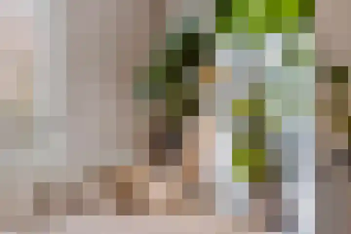 Darwinhage 24 Emmeloord thumbnail 10