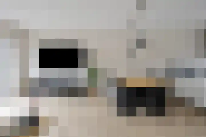 Darwinhage 24 Emmeloord thumbnail 12