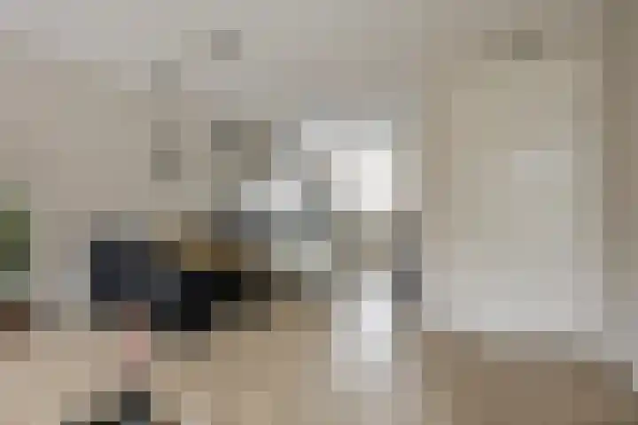 Darwinhage 24 Emmeloord thumbnail 14
