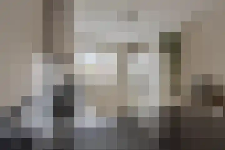 Darwinhage 24 Emmeloord thumbnail 16