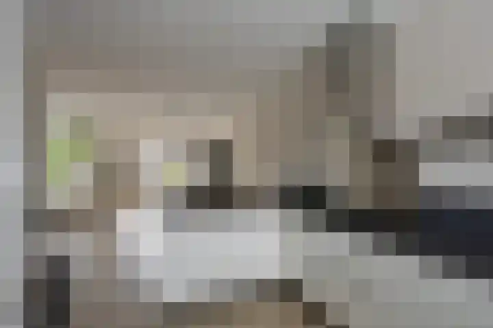 Darwinhage 24 Emmeloord thumbnail 18