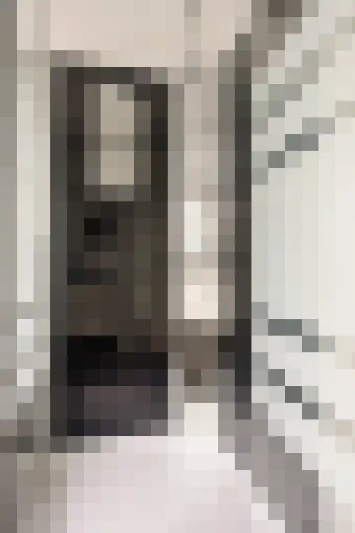 Darwinhage 24 Emmeloord thumbnail 23