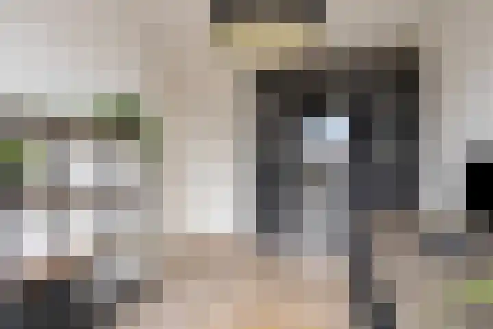 Darwinhage 24 Emmeloord thumbnail 26