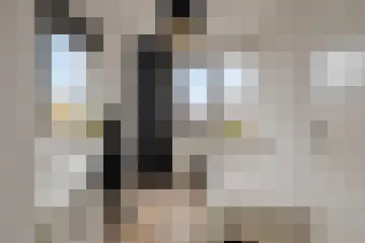 Darwinhage 24 Emmeloord thumbnail 27