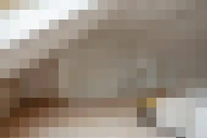 Darwinhage 24 Emmeloord thumbnail 29