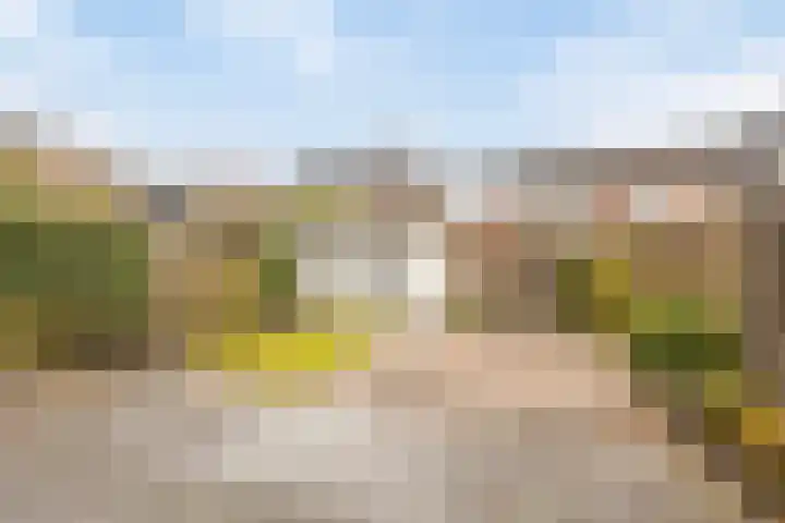Darwinhage 24 Emmeloord thumbnail 30
