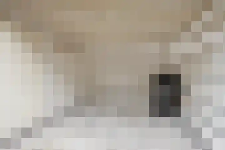 Darwinhage 24 Emmeloord thumbnail 32