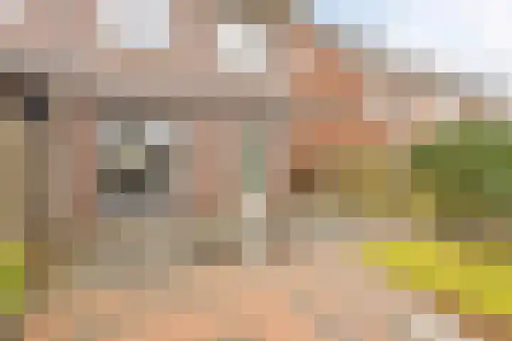 Darwinhage 24 Emmeloord thumbnail 36