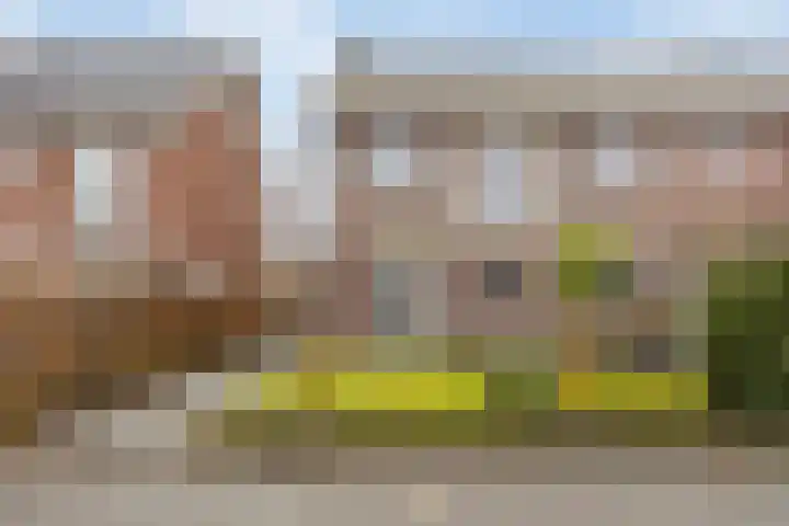 Darwinhage 24 Emmeloord thumbnail 4