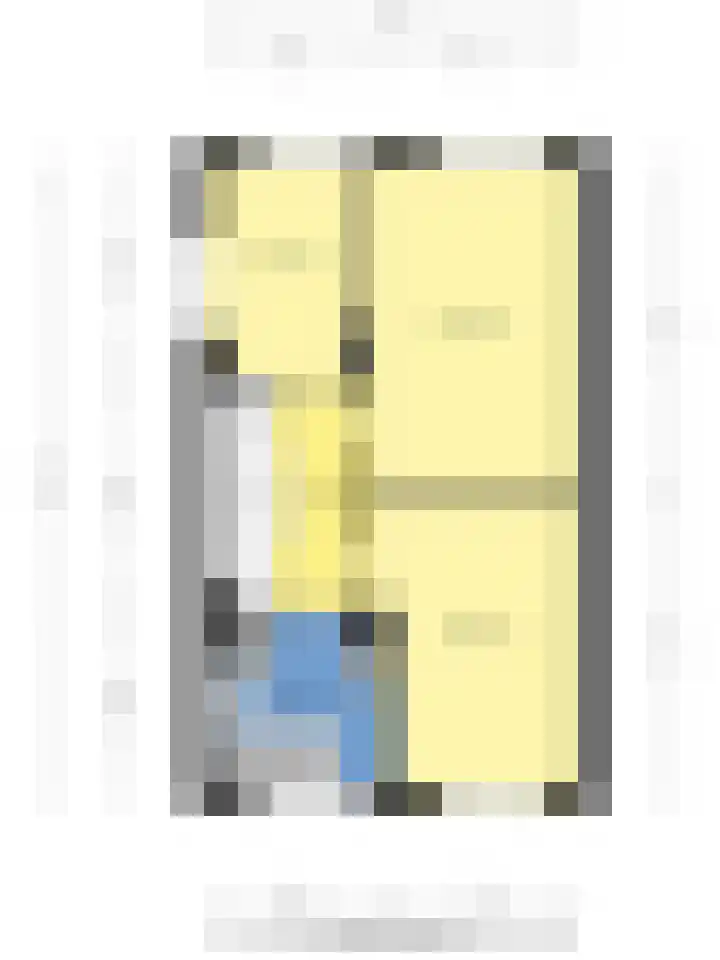 Darwinhage 24 Emmeloord thumbnail 41