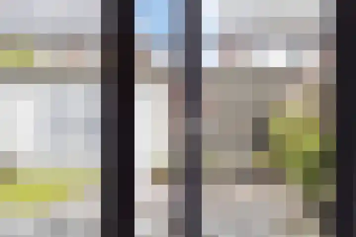 Darwinhage 24 Emmeloord thumbnail 8