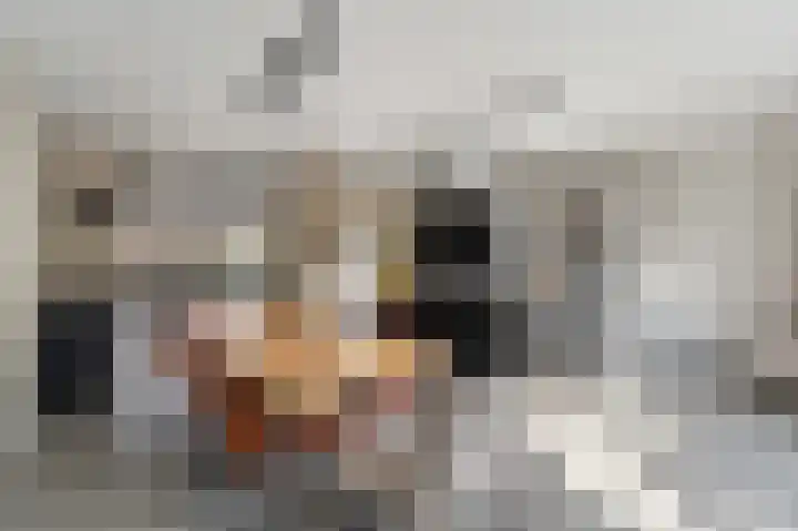 Darwinhage 27 Emmeloord thumbnail 17