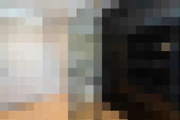 Darwinhage 27 Emmeloord thumbnail 30