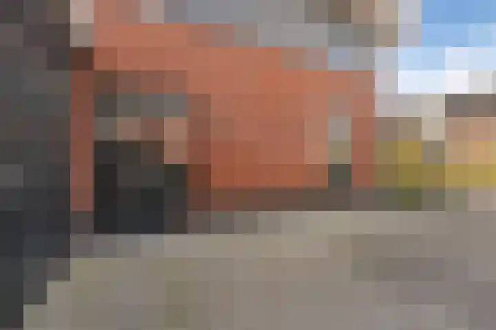 Darwinhage 27 Emmeloord thumbnail 8
