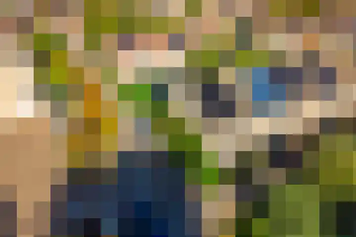 Darwinplantsoen 28 Lisse thumbnail 10