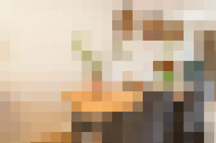 Darwinplantsoen 28 Lisse thumbnail 18
