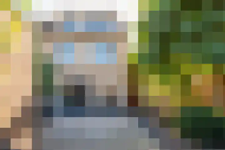 Darwinplantsoen 28 Lisse thumbnail 4