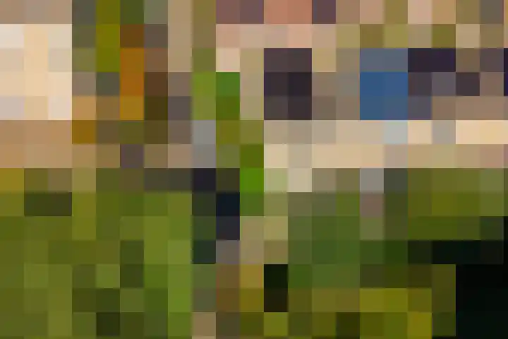 Darwinplantsoen 28 Lisse thumbnail 44