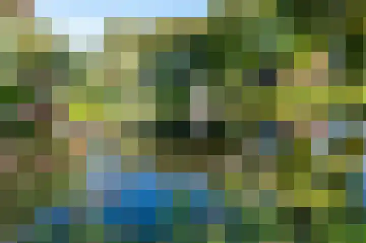 Darwinplantsoen 28 Lisse thumbnail 6