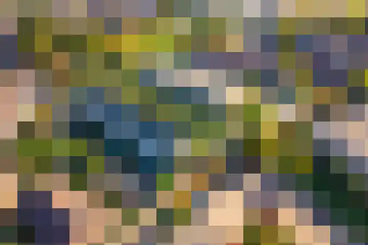 Darwinplantsoen 28 Lisse thumbnail 7