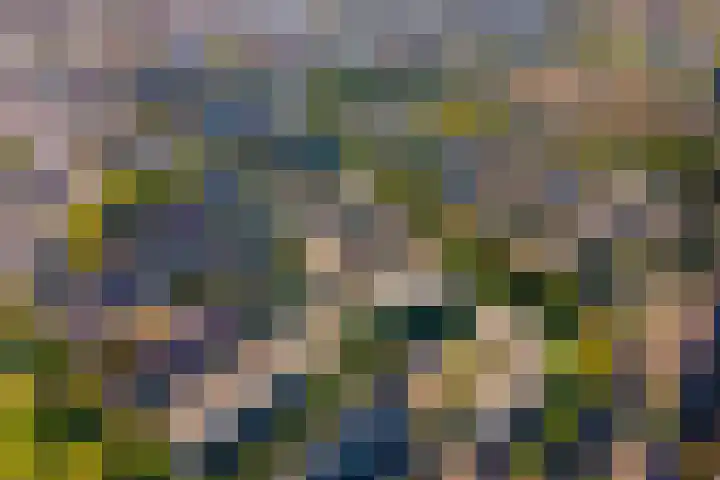 Darwinplantsoen 28 Lisse thumbnail 9