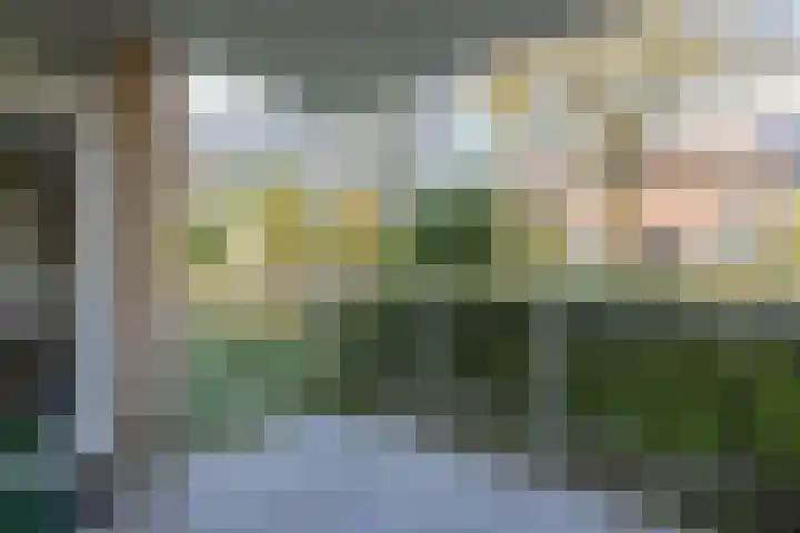 Darwinplantsoen 30 Lisse thumbnail 11
