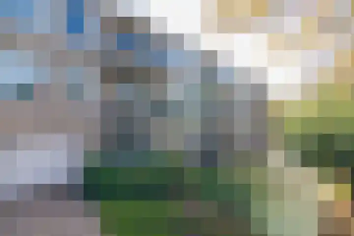 Darwinplantsoen 30 Lisse thumbnail 28