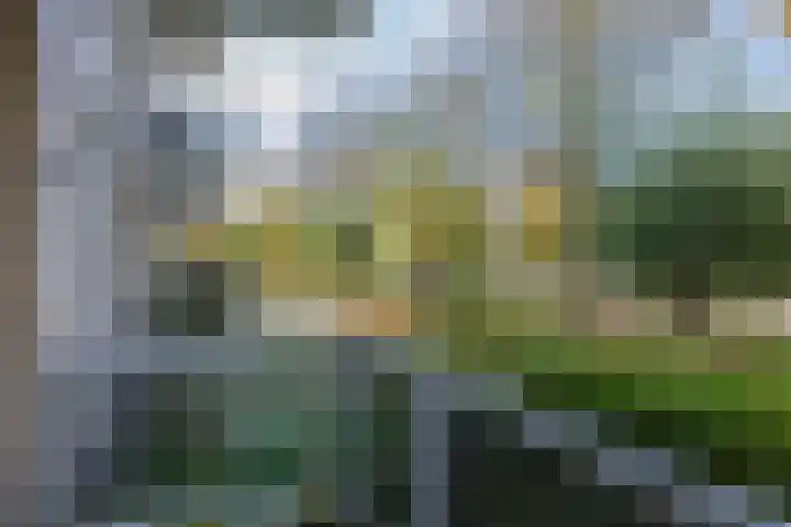 Darwinplantsoen 30 Lisse thumbnail 32
