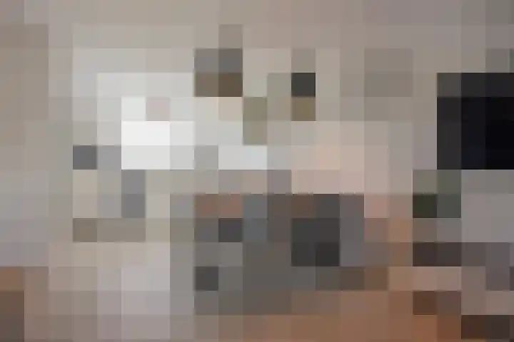 Darwinstraat 7 Sittard thumbnail 34